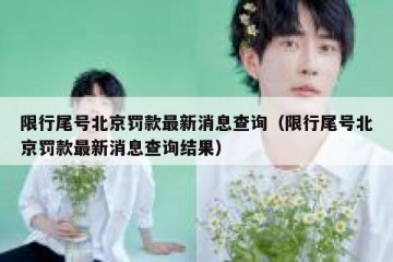 限行尾号北京罚款最新消息查询（限行尾号北京罚款最新消息查询结果）
