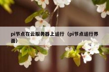 pi节点在云服务器上运行（pi节点运行界面）