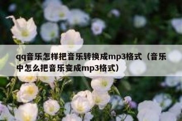 qq音乐怎样把音乐转换成mp3格式（音乐中怎么把音乐变成mp3格式）