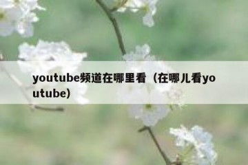 youtube频道在哪里看（在哪儿看youtube）