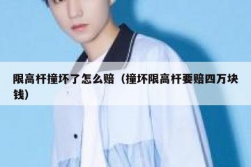 限高杆撞坏了怎么赔（撞坏限高杆要赔四万块钱）