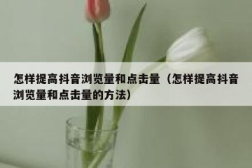 怎样提高抖音浏览量和点击量（怎样提高抖音浏览量和点击量的方法）