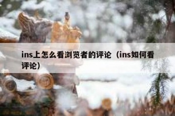 ins上怎么看浏览者的评论（ins如何看评论）
