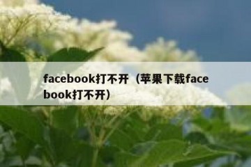 facebook打不开（苹果下载facebook打不开）