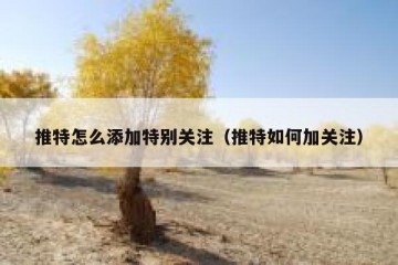 推特怎么添加特别关注（推特如何加关注）