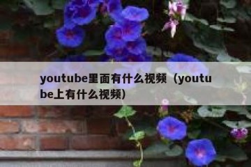 youtube里面有什么视频（youtube上有什么视频）