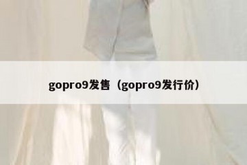 gopro9发售（gopro9发行价）