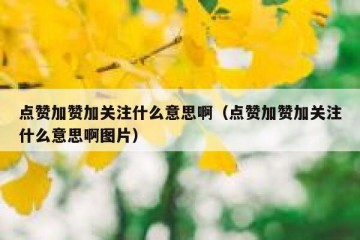点赞加赞加关注什么意思啊（点赞加赞加关注什么意思啊图片）