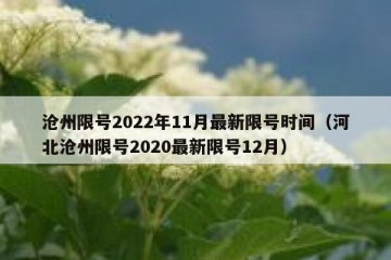 沧州限号2022年11月最新限号时间（河北沧州限号2020最新限号12月）