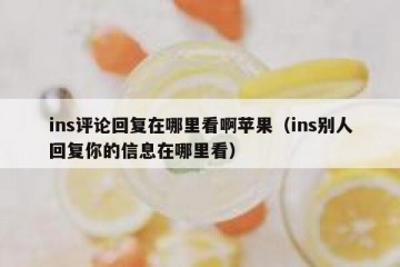 ins评论回复在哪里看啊苹果（ins别人回复你的信息在哪里看）