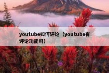youtube如何评论（youtube有评论功能吗）