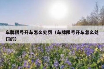 车牌限号开车怎么处罚（车牌限号开车怎么处罚的）