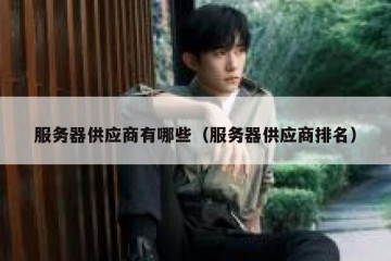 服务器供应商有哪些（服务器供应商排名）