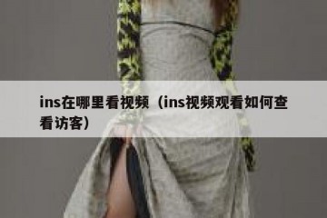 ins在哪里看视频（ins视频观看如何查看访客）