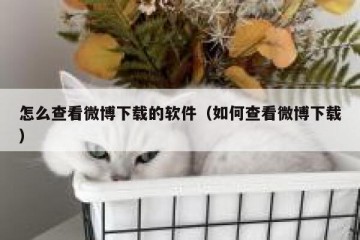 怎么查看微博下载的软件（如何查看微博下载）