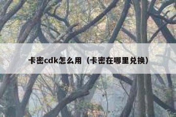 卡密cdk怎么用（卡密在哪里兑换）