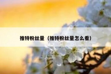 推特粉丝量（推特粉丝量怎么看）