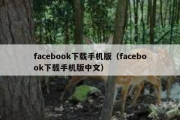 facebook下载手机版（facebook下载手机版中文）