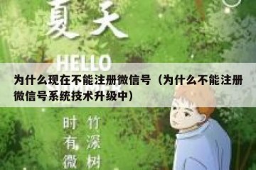 为什么现在不能注册微信号（为什么不能注册微信号系统技术升级中）
