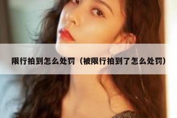 限行拍到怎么处罚（被限行拍到了怎么处罚）