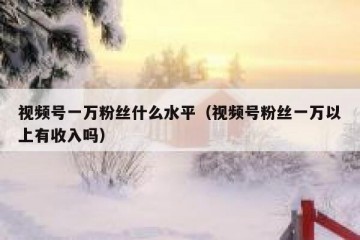 视频号一万粉丝什么水平（视频号粉丝一万以上有收入吗）