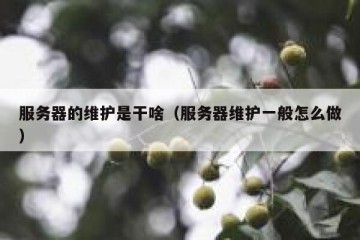 服务器的维护是干啥（服务器维护一般怎么做）