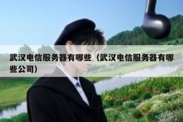 武汉电信服务器有哪些（武汉电信服务器有哪些公司）