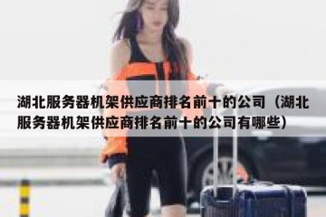 湖北服务器机架供应商排名前十的公司（湖北服务器机架供应商排名前十的公司有哪些）