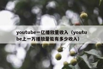 youtube一亿播放量收入（youtube上一万播放量能有多少收入）