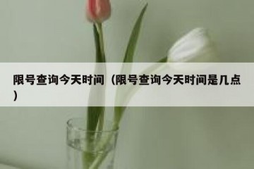 限号查询今天时间（限号查询今天时间是几点）