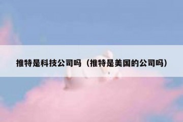 推特是科技公司吗（推特是美国的公司吗）