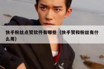 快手粉丝点赞软件有哪些（快手赞和粉丝有什么用）