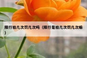 限行拍几次罚几次吗（限行是拍几次罚几次嘛）