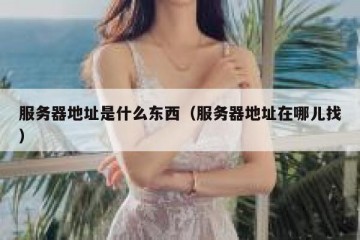 服务器地址是什么东西（服务器地址在哪儿找）