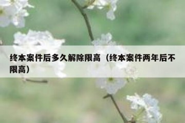 终本案件后多久解除限高（终本案件两年后不限高）