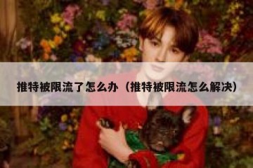 推特被限流了怎么办（推特被限流怎么解决）