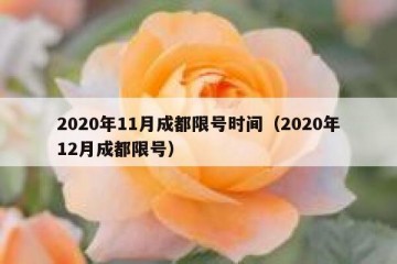 2020年11月成都限号时间（2020年12月成都限号）