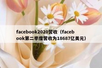 facebook2020营收（facebook第二季度营收为18687亿美元）
