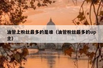 油管上粉丝最多的是谁（油管粉丝最多的up主）