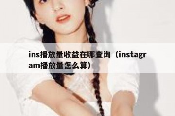ins播放量收益在哪查询（instagram播放量怎么算）