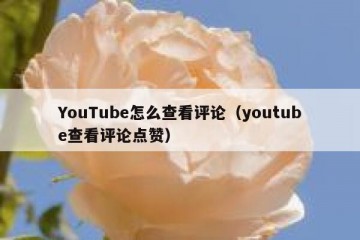 YouTube怎么查看评论（youtube查看评论点赞）