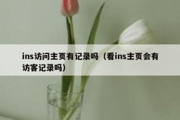 ins访问主页有记录吗（看ins主页会有访客记录吗）