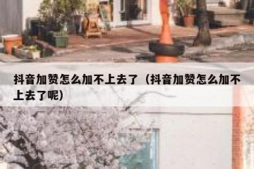 抖音加赞怎么加不上去了（抖音加赞怎么加不上去了呢）