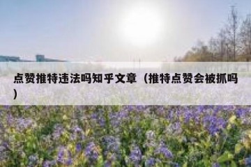 点赞推特违法吗知乎文章（推特点赞会被抓吗）