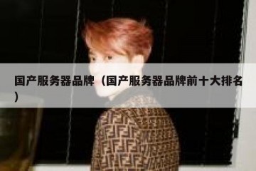 国产服务器品牌（国产服务器品牌前十大排名）