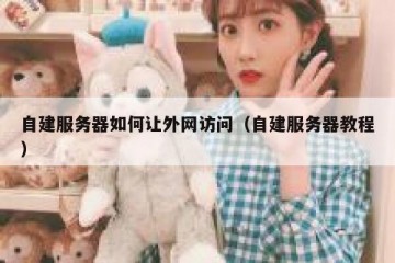 自建服务器如何让外网访问（自建服务器教程）