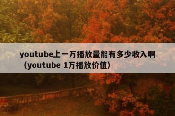 youtube上一万播放量能有多少收入啊（youtube 1万播放价值）