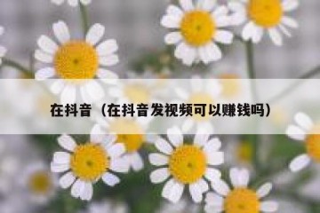 在抖音（在抖音发视频可以赚钱吗）