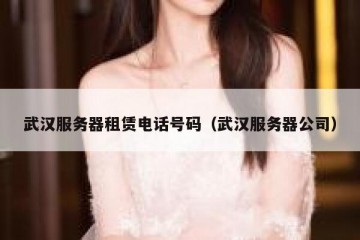 武汉服务器租赁电话号码（武汉服务器公司）