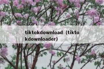tiktokdownload（tiktokdownloader）
